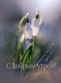 8AA32642-EDEB-46A5-9B0E-0FB5BBAB451E.webp