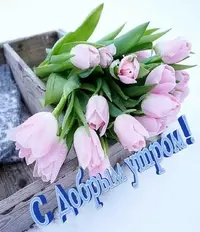 23-21-31-30.webp