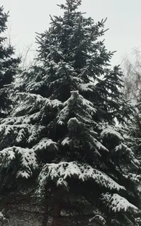 1B544D9F-F1D6-4089-92D0-4068C3B71ED4.webp