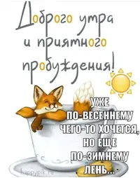 24-11-26-07.webp