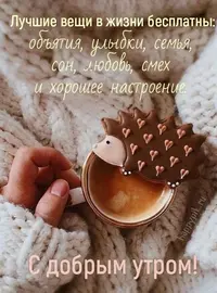 43c85bba331e0ff4265fce5b5faa5eed.webp