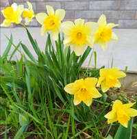 IMG_20220402_163828.webp