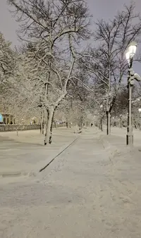 Screenshot_20220402-224833_Gallery.webp