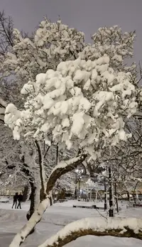 Screenshot_20220402-224852_Gallery.webp