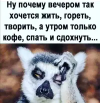 Screenshot_20211202_133910.webp