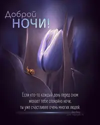 -nochi4.webp