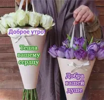 26-21-43-55.webp
