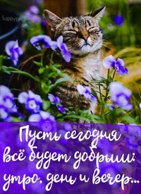 a6f3fdc1fe388c5f5fea533d4d39da6a.webp