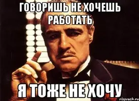 Q1kxoSQ1miM.webp