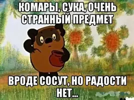 pics-0078.webp