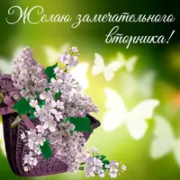 IMG-20220329-WA0008.webp
