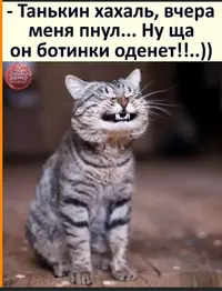 IMG_20220404_122150.webp
