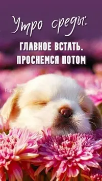 a6dcd94eb9ca4d4569fa99dfc295088a.webp
