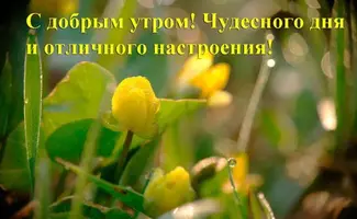 IMG-20220405-WA0004.webp