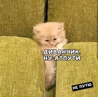 a349706688ed729b6547030d7803fd82.webp