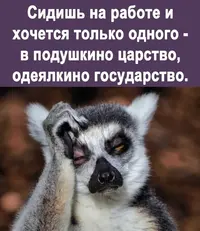 IMG_20220404_214313.webp
