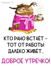 -kart125.webp