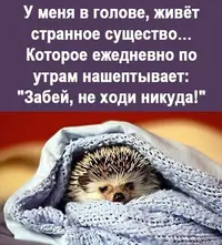 IMG_20220406_200211.webp