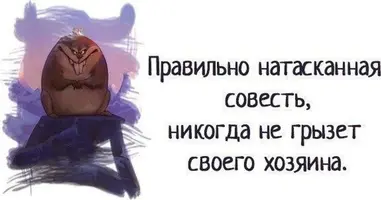 2183.webp
