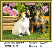 IMG_20220407_185207.webp