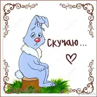 806048.webp