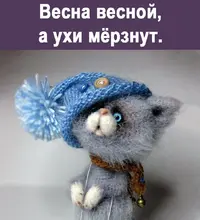 IMG_20220404_215442.webp