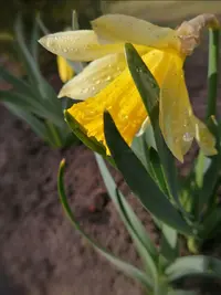 Screenshot_20220408_224843.webp