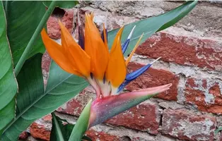 Screenshot_20220410-174336_Gallery.webp