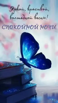 CE6FA491-F386-4018-A4F9-A0B18BC7DA6D.webp