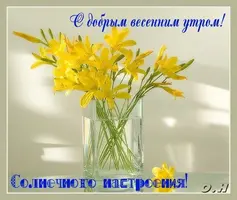 900A381A-21F0-4C1A-983D-0A88970C0E80.webp