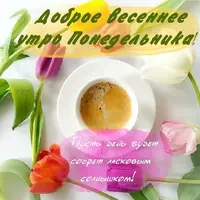 IMG-20220411-WA0003.webp