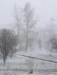Screenshot_20220411-172713_Gallery.webp