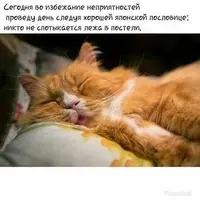 62b879a63c75ec693911f7145f85e42e.webp
