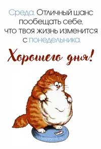 sreda-krasivye11happypik.ru_.webp