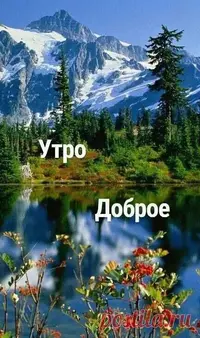 IMG-20220413-WA0000.webp
