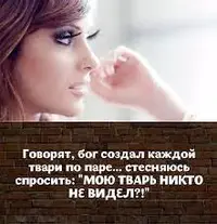 Без названия (2).webp