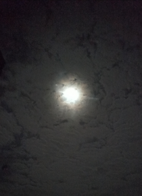 IMG_20220414_225241.webp