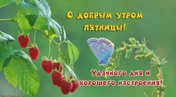 29CE5B77-ED46-4663-B663-7348AEEE32C7.webp