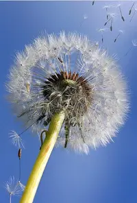 DCE48338-C41B-4CF1-A2C8-A5AE4A6A1BEC.webp
