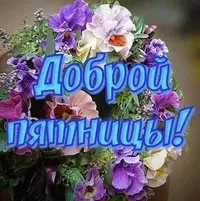 IMG-20220415-WA0006.webp
