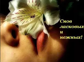 0702B916-A42B-4791-BEC7-6D7C07978CD3.webp