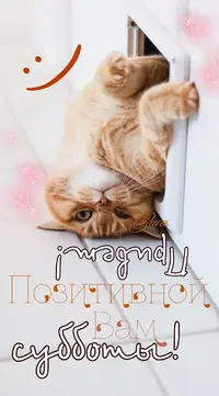 c0e28c3ed5d6269d61ce0fbdeea2fffd.webp