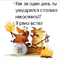 IMG_20220416_141724_461.webp