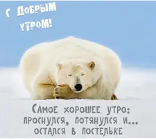 3F6CED45-5844-4D31-AF80-8CD34D1BF8F3.webp