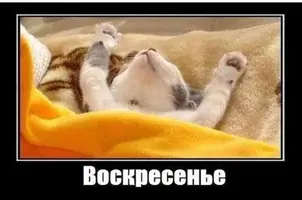 2395F051-8C0D-41AE-928A-62226DAF5C99.webp