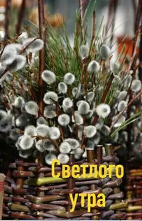 4A73E4BB-599C-43AE-8CD4-0C8C0968342E.webp