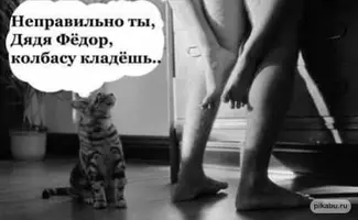 78eba8c8-f4c8-47ba-8541-6269f6150555.webp