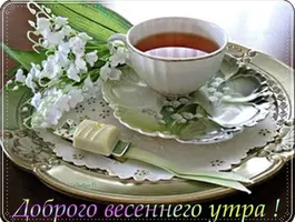 2EFE75CF-38A5-4610-A48E-1B4194DE8186.webp