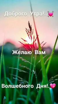 IMG-20220418-WA0007.webp