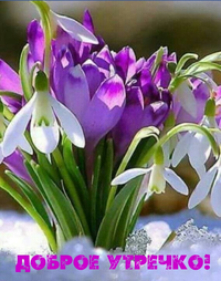 6ACCA95C-2A3C-45F0-A1A3-799907F9EED5.webp